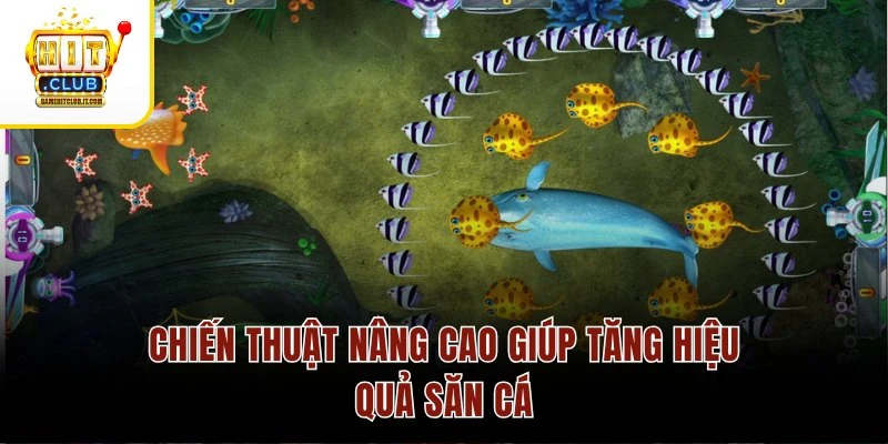 Cách Chơi Game Bắn Cá Online HitClub Thu Thưởng Siêu Đỉnh 4 Chiến thuật nâng cao giúp tăng hiệu quả săn cá