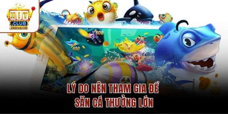 Bắn Cá Thủy Cung – Hệ Số Thưởng X1000 Và Kho 30 Loài Sinh Vật 3 Lý do nên tham gia để săn cá thưởng lớn